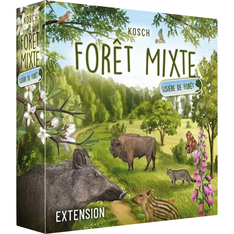 Forêt Mixte - Lisière de forêt