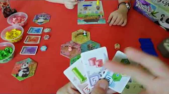  Takenoko, de la vidéo en plus !